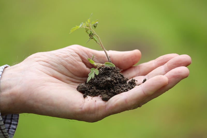 Kids Gardening