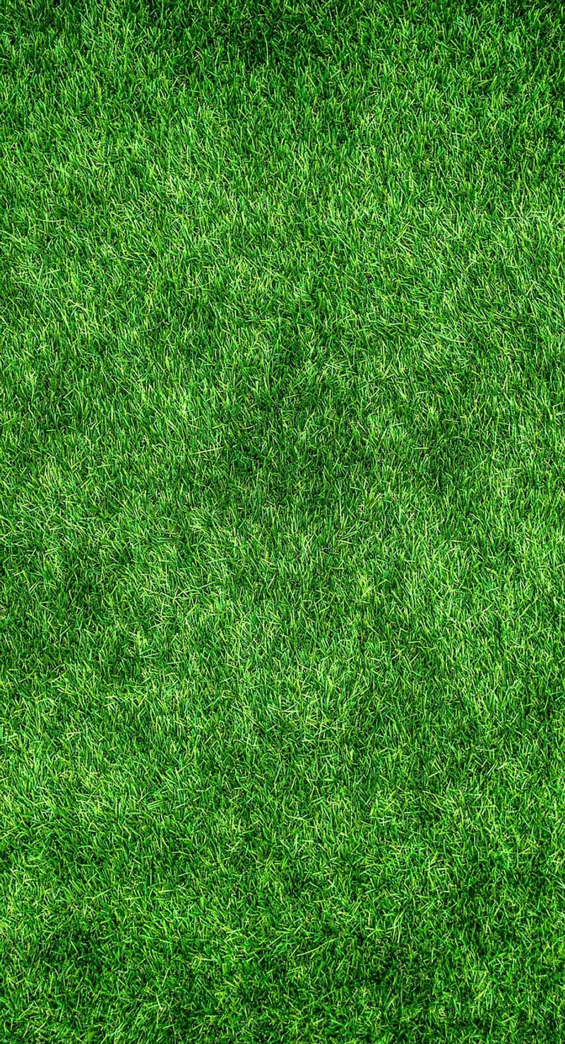 Sustainable living
